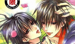 日本bl漫画,浪漫情缘，激情四溢的视觉盛宴