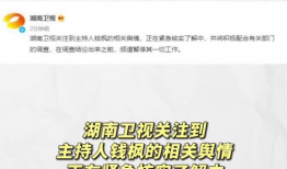 娱乐圈吃瓜爆料标题大全,揭秘明星背后的秘密与真相